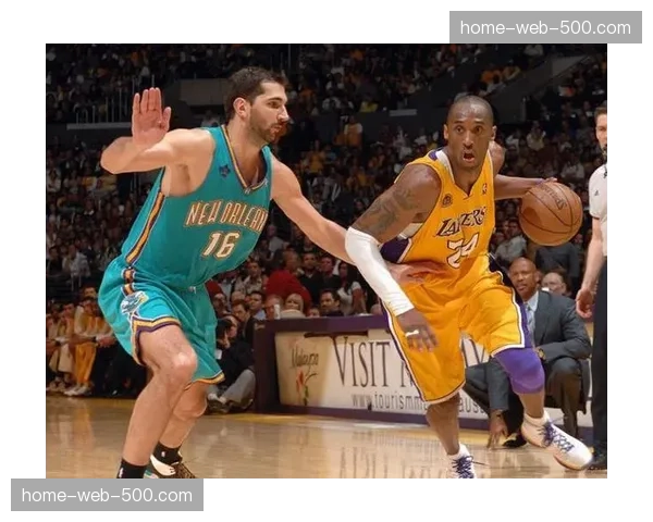 黄蜂进攻体系运转流畅 全队助攻数领先展现团队配合默契